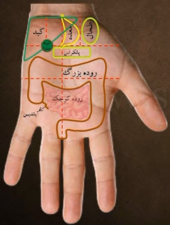 آموزش سوجوک تراپی( درمان بدون دارو)